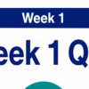 (Completed) NR509 Week 1 Quiz