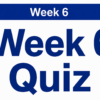 (Completed) NR509 Week 6 Quiz
